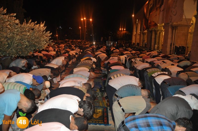 lud trawer7 aqsa 805 (59).JPG